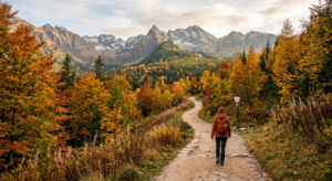A professional editorial photograph of a picturesque, easy hiking trail in a Polish landscape during